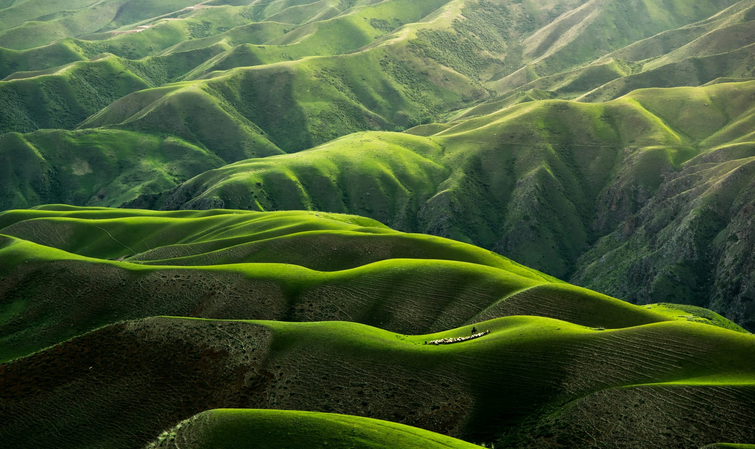 Rolling green hills with wildflowers under blue sky